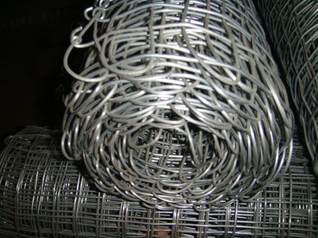 鍍鋅經(jīng)緯網(wǎng)圖片4